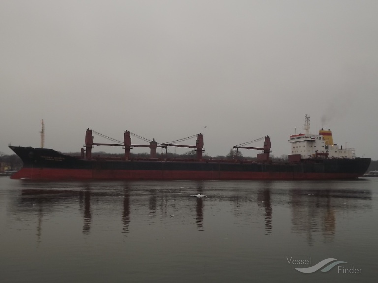 ALEXANDER DIMITROV photo