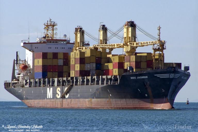 MSC JASMINE photo