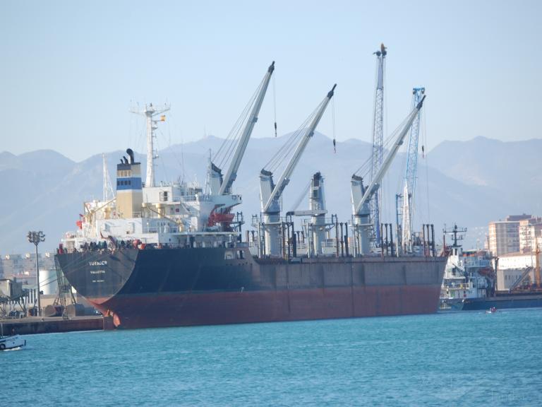 VOYAGER, Bulk Carrier Details and current position IMO 8421341