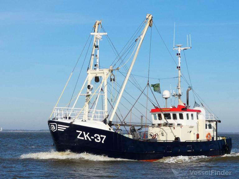 ZK37 ALDERT V THIJS photo