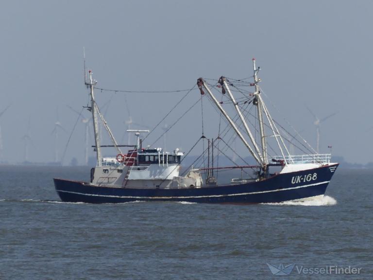 UK168 KEES KORF
