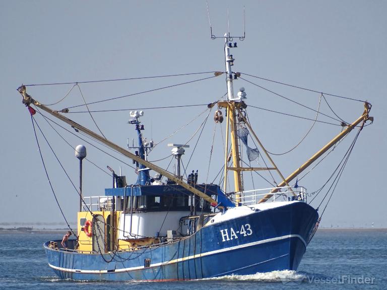 HA43 VROUWE ELISABET photo