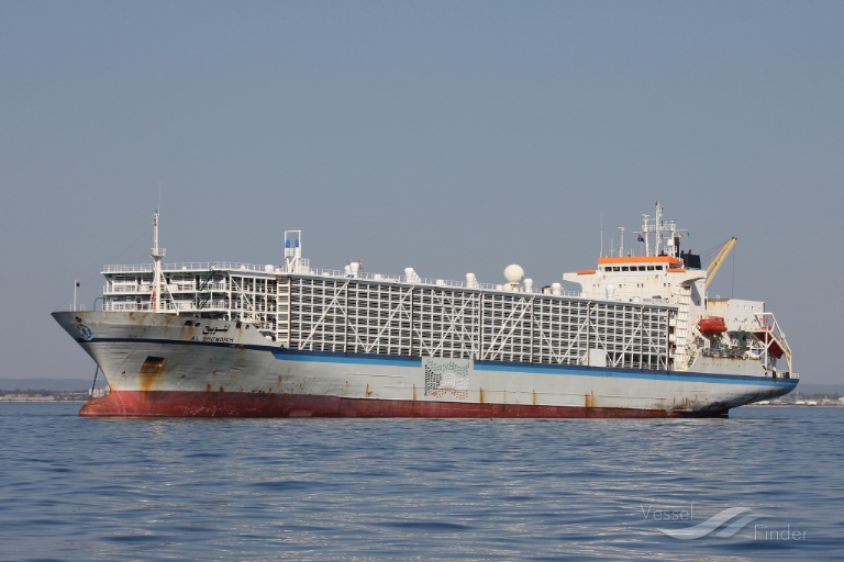 BASHAR ONE TRANSPORT photo