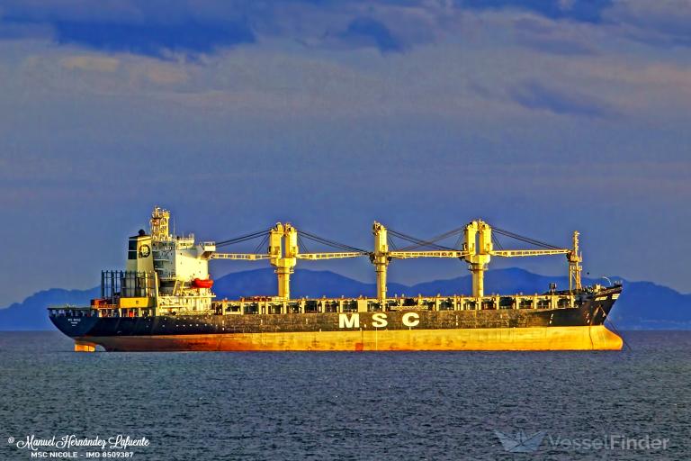 MSC NICOLE photo