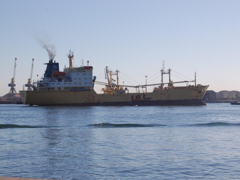 CRYSTAL ARCTICA photo