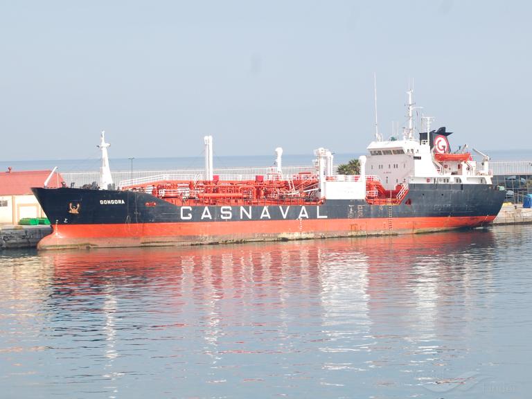VIRGO GAS photo