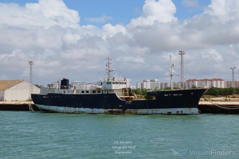 SEA CONDOR photo