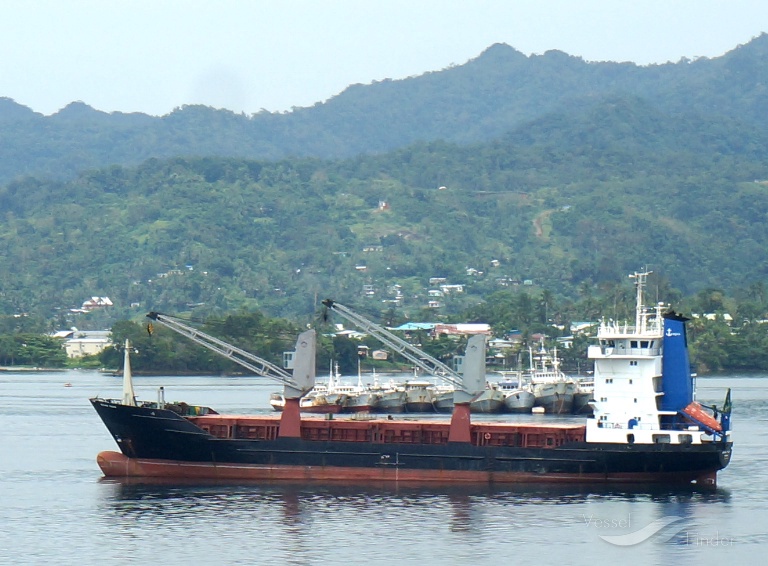 SOUTHERN PHOENIX photo