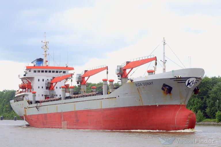 MANASSA SHAM photo