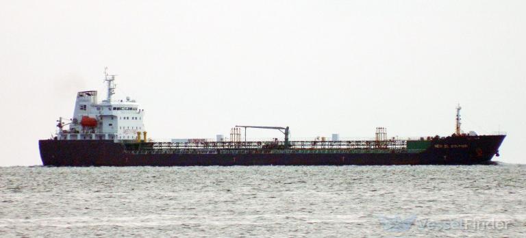 NEW BL DOLPHIN photo