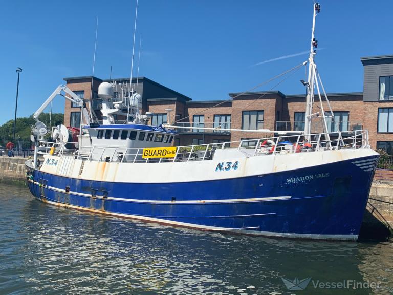 SHARON VALE N34 photo