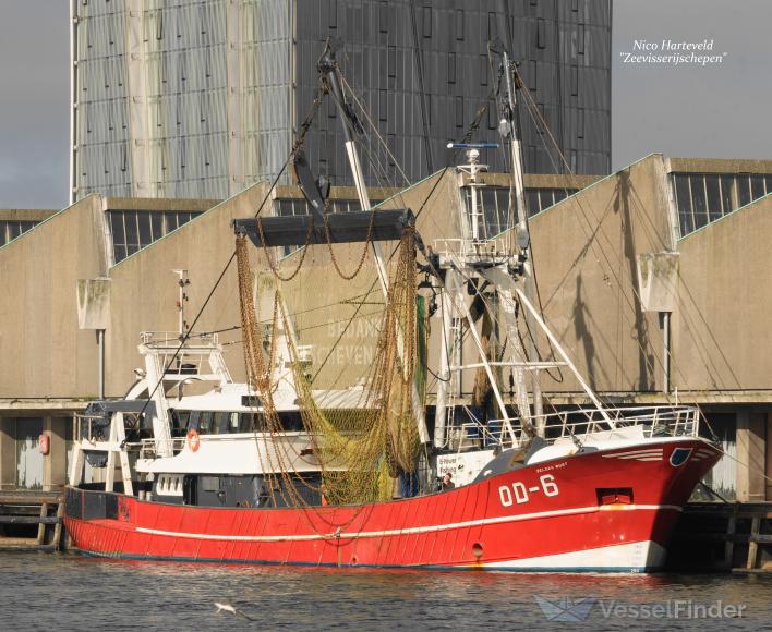 OD-6 ZELDENRUST photo