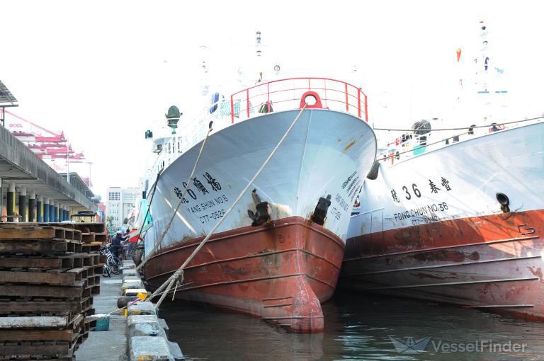 YANG SHUN NO. 6 photo