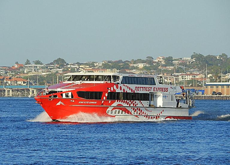 STAR FLYTE 41 photo