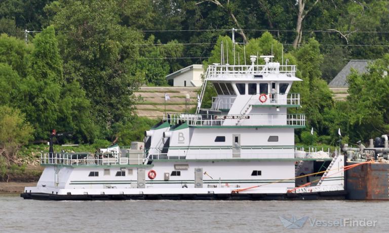 JANE ANN BLESSEY photo