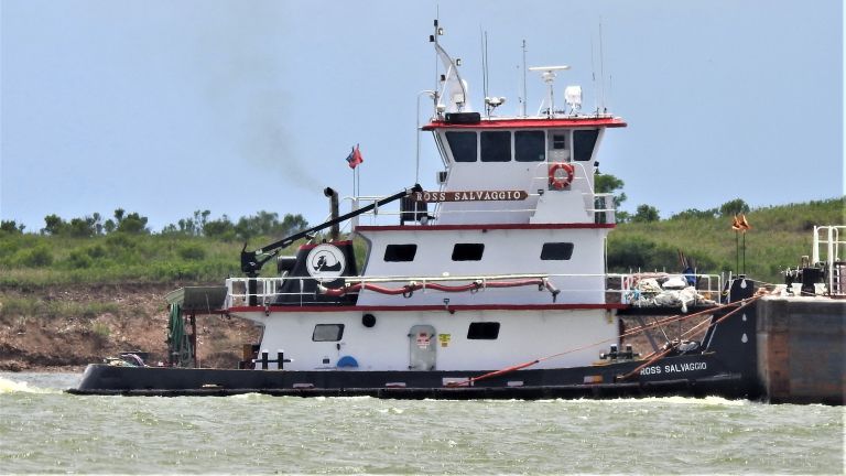 ROSS SALVAGGIO photo