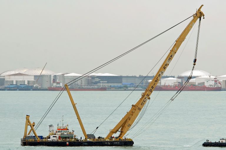 ASIAN HELPING HAND III photo