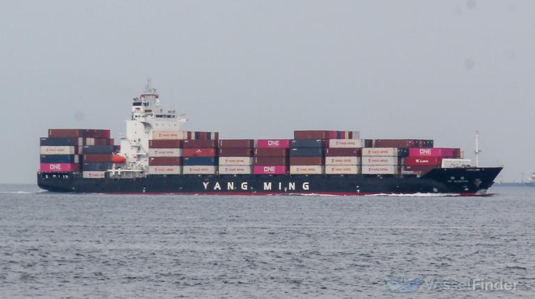 LAN NING 19 photo