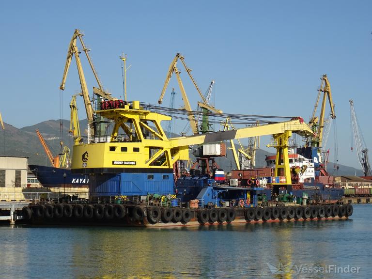 INZHENER PODLESNIY photo