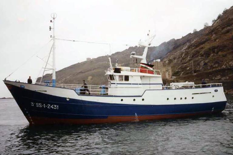 NUEVO CRISTO DEL BUEN VIAJE photo