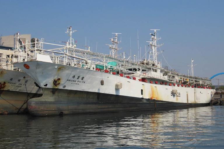 HSIN DAN MING NO.6 photo