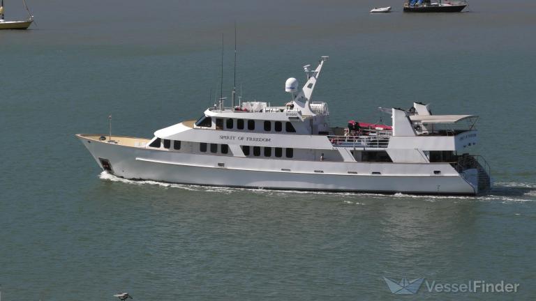 SPIRITOFFREEDOM photo