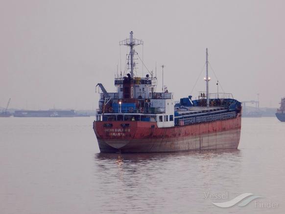 DEWI BULAN II photo