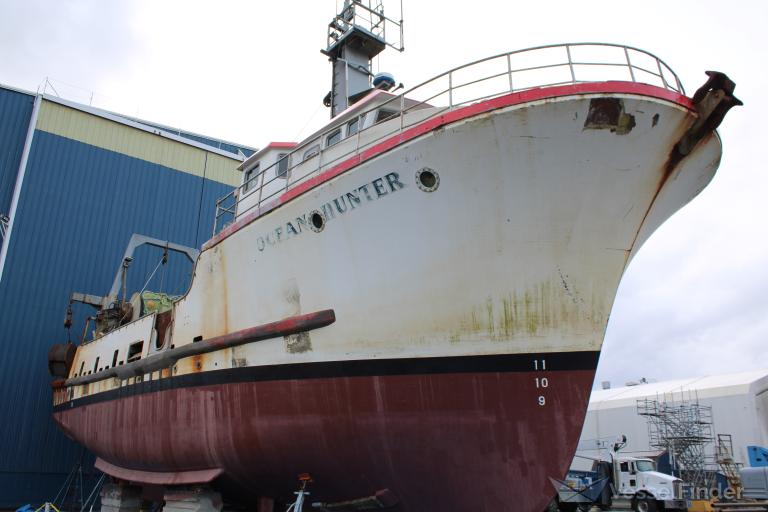 OCEAN HUNTER photo