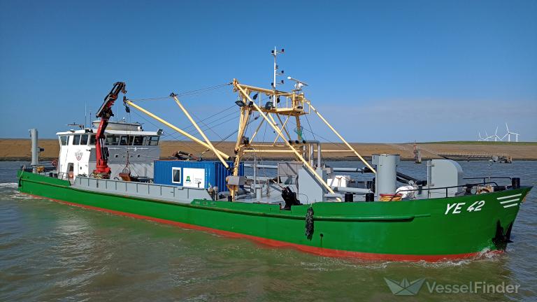 YE42 ANNA ELIZABETH photo