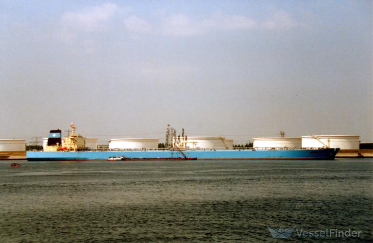 SOUTHERNPEC 5 photo