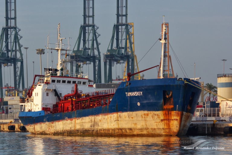 TAMANSKIY photo