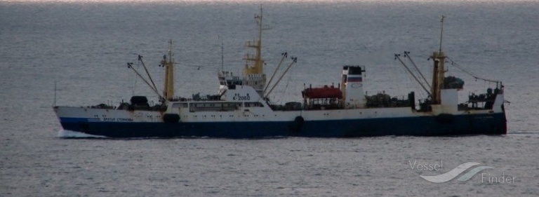 BRATYA STOYANOVY photo