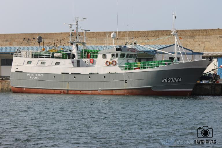 FV MAR DE FLORES photo