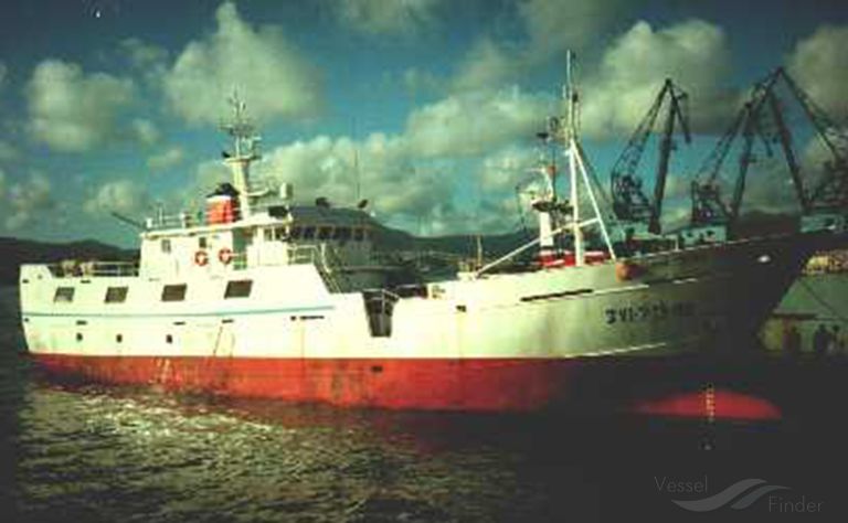 SIEMPRE BELUSO photo