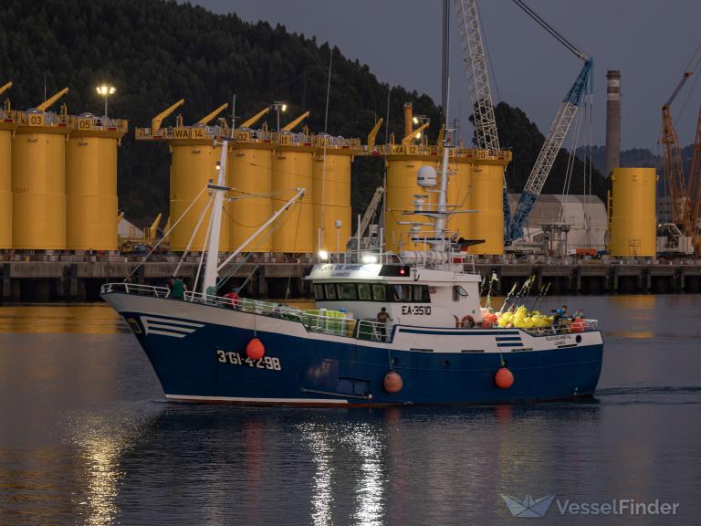 PLAYA DE ARBEYAL photo