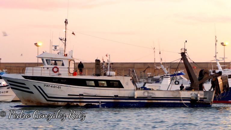 QUATRE ESTELS photo