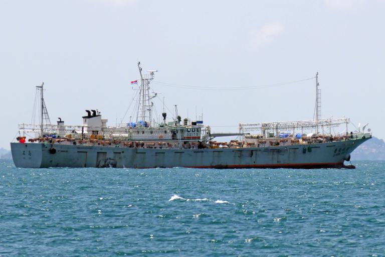 LU RONG YUAN YU 779 photo