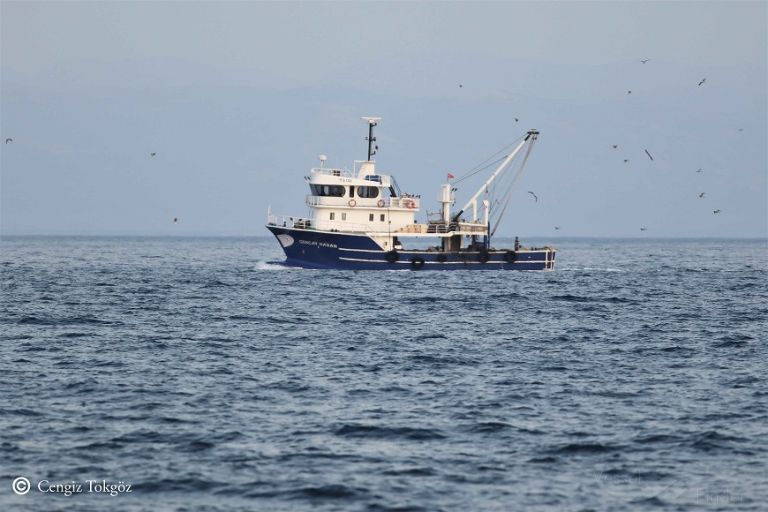 TOPALOGLU BALIKCILIK photo