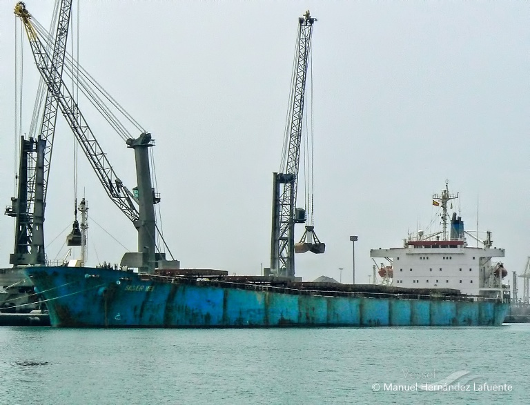 FOREVER, Bulk Carrier - Details and current position - IMO 8801785 ...
