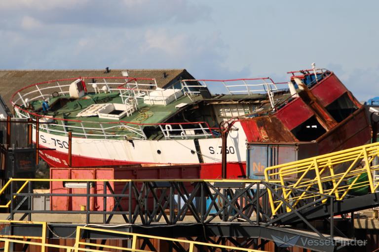 VELVET CHORD II photo