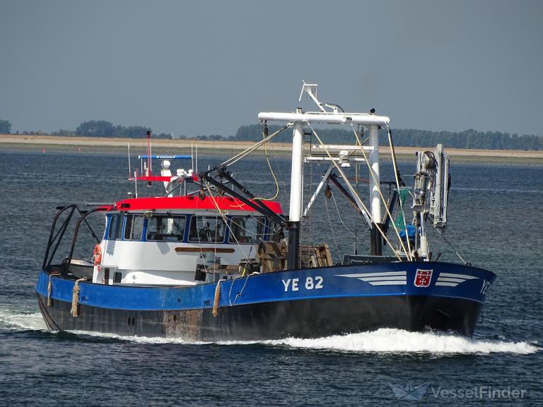 YE82 MAATJE V LIERE photo