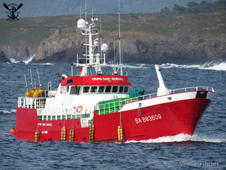 FV GRAND ST BERNARD photo