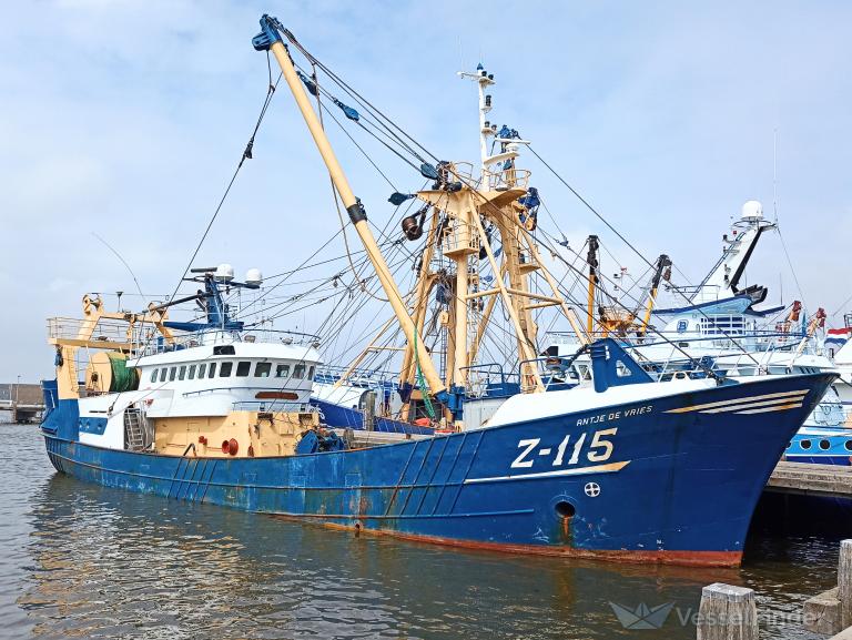 Z115 ANTJE DE VRIES photo