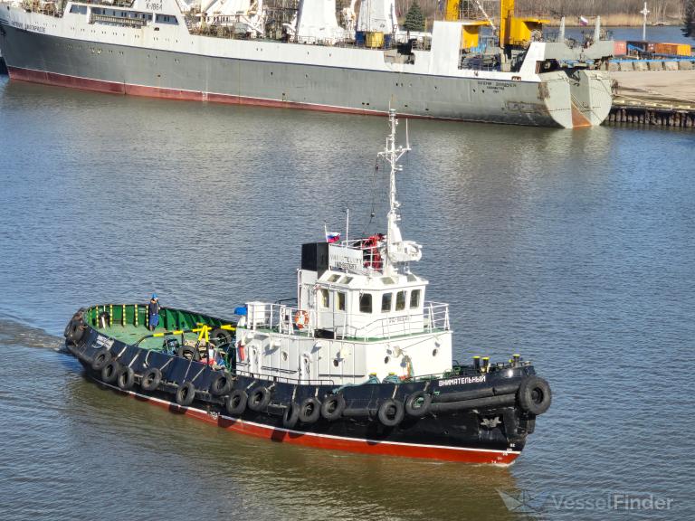 VNIMATELNYY photo