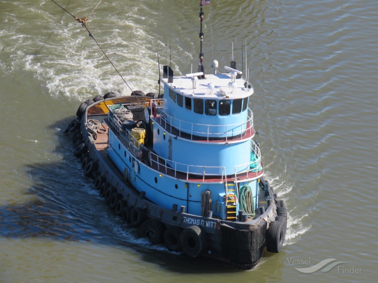 THOMAS D WITTE photo