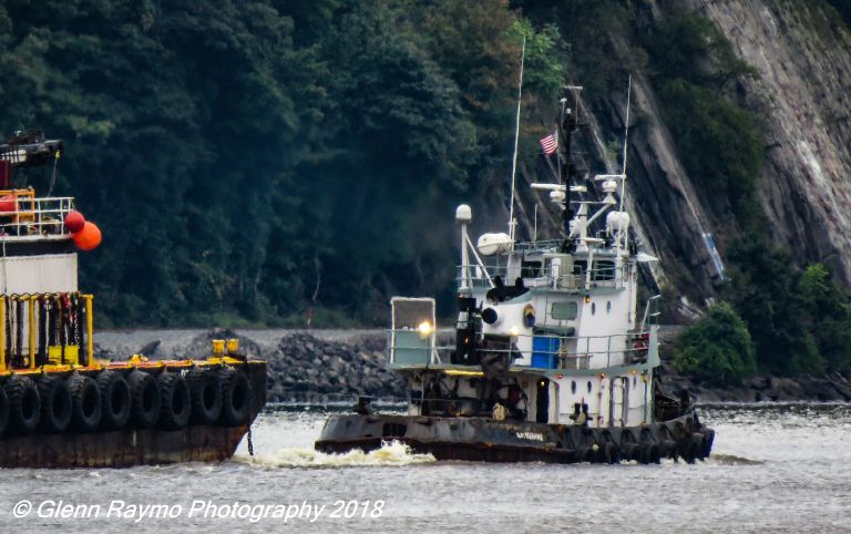 BAYOU BRAVE photo