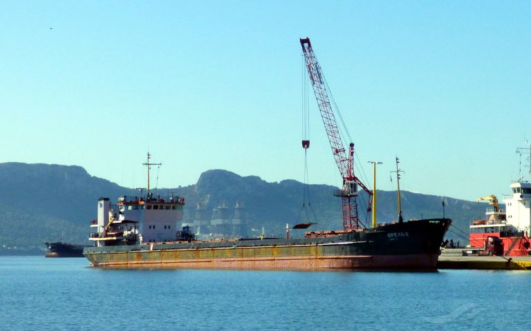 PALAZ photo