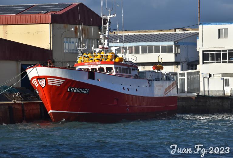 MARIA REINA MADRE photo