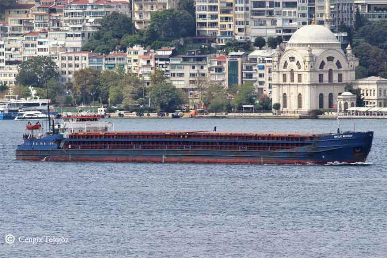 NIKOLAY MESHKOV photo