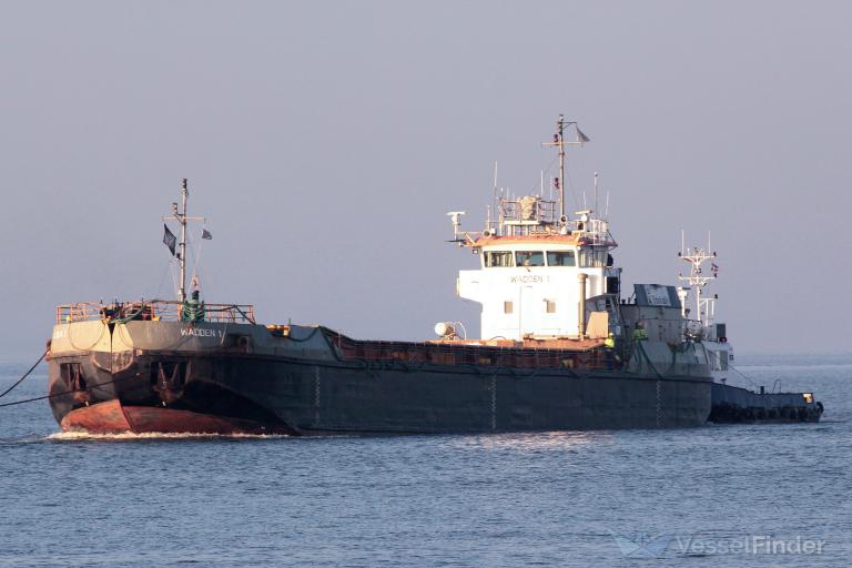 REZVAYA photo
